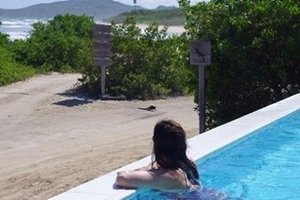 Viajero