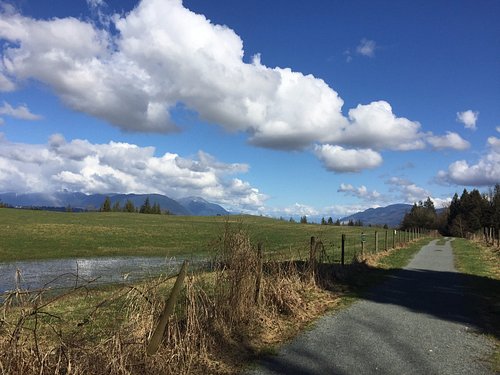 14 Top-Rated Things to Do in Abbotsford, BC