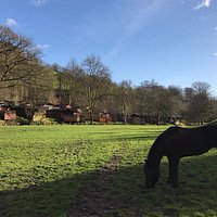 Horse Riding at Limefitt Park