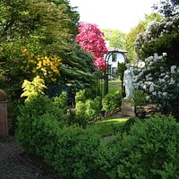 Rhododenrons & Azelia Late May