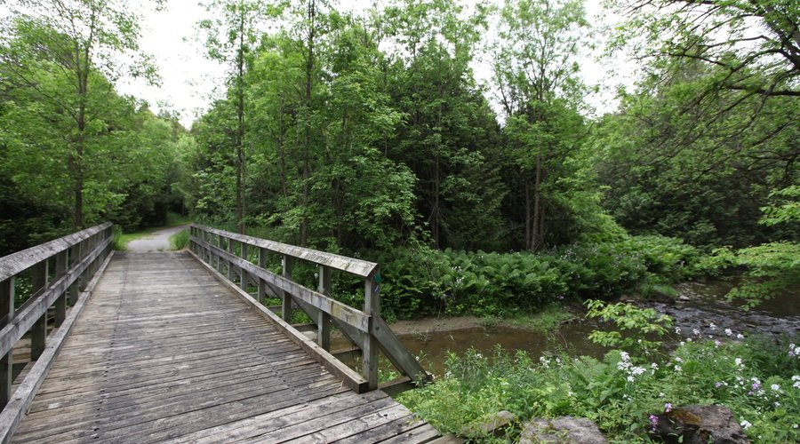 Kingbridge Walking/Running Trails
