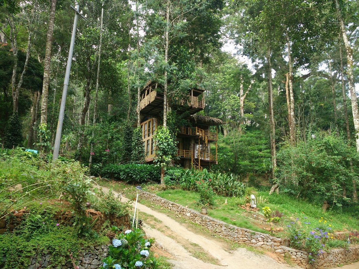 JUNGLE JIVE TREE HOUSE MUNNAR (Муннар) - отзывы, фото и сравнение цен -  Tripadvisor