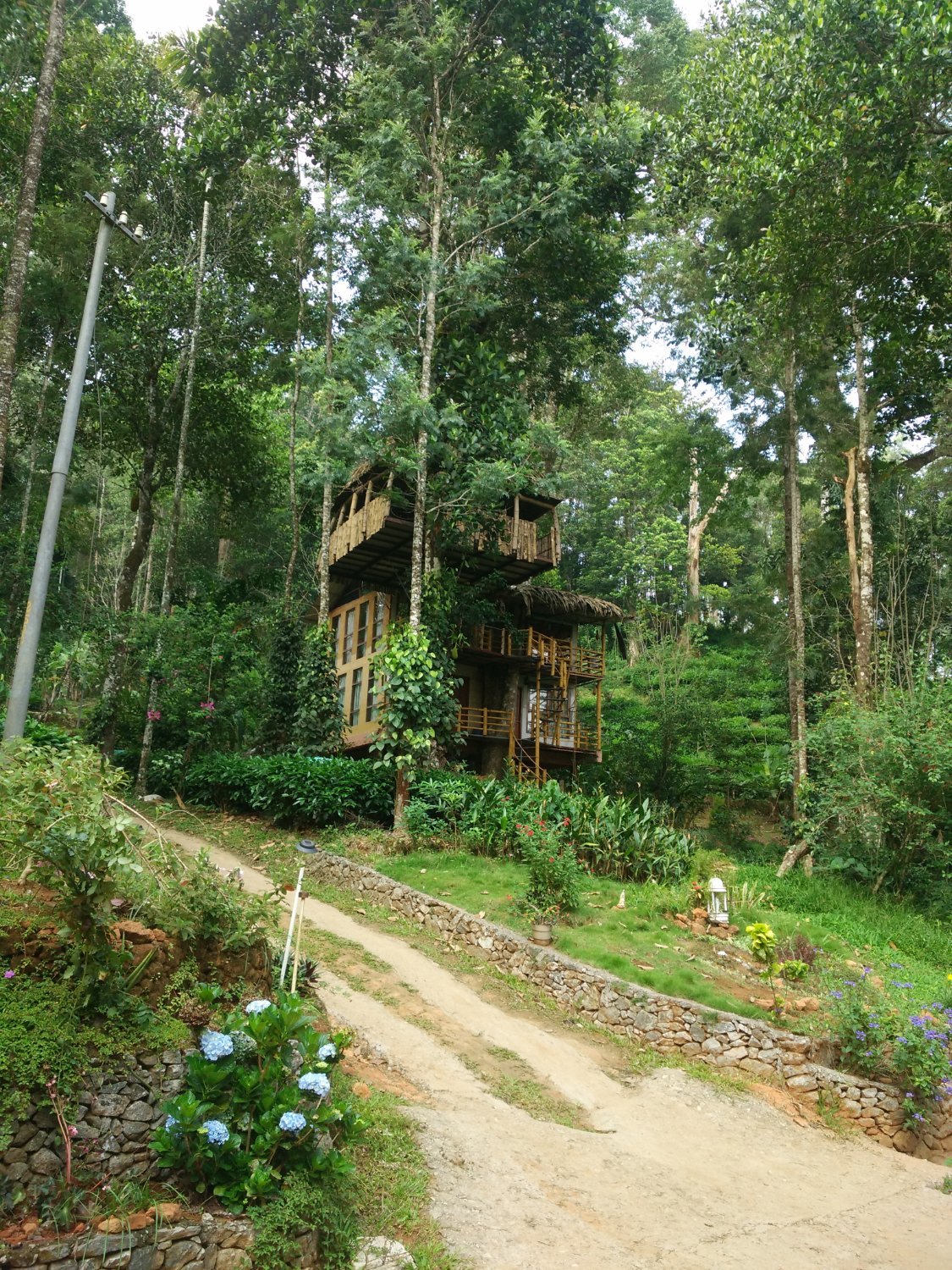 JUNGLE JIVE TREE HOUSE MUNNAR (Муннар) - отзывы, фото и сравнение цен -  Tripadvisor