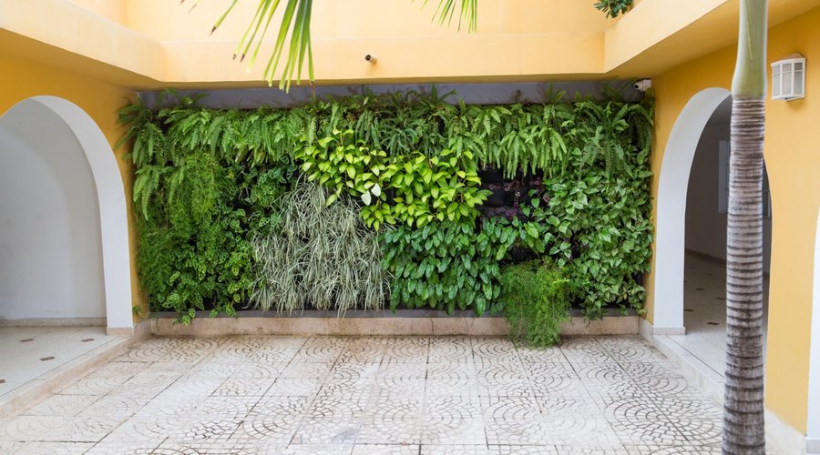 Patio interior