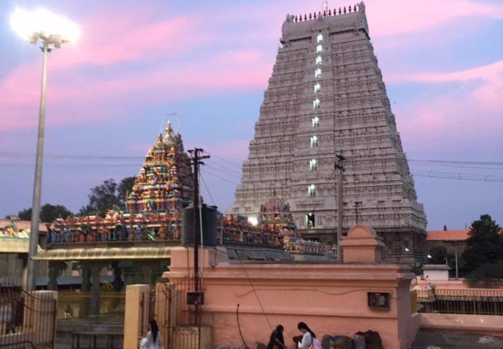 THE 10 BEST Things to Do in Tiruvannamalai - 2021 (with Photos ...