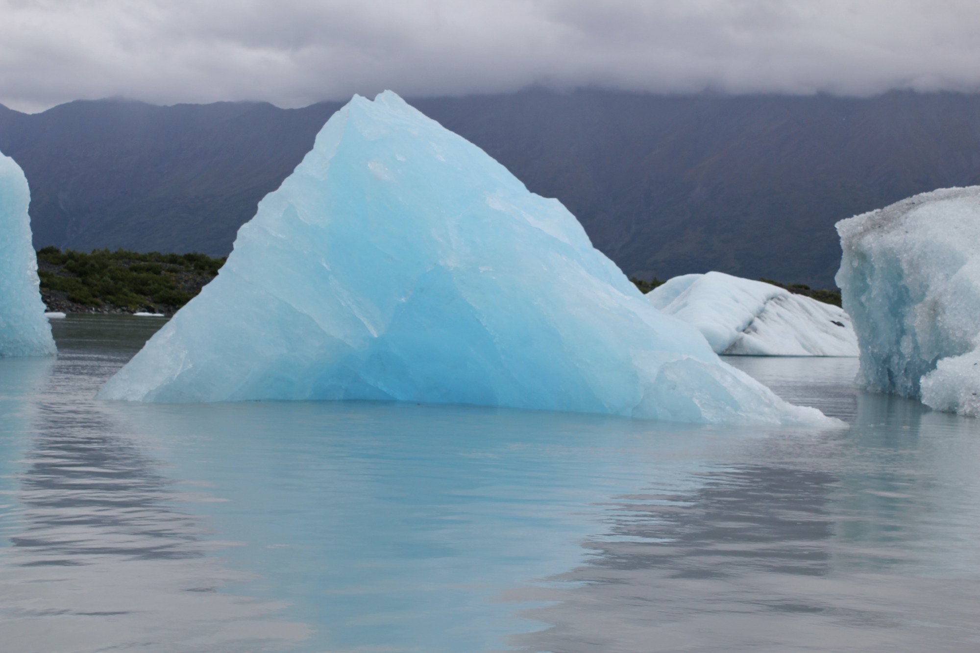 Knik Glacier Tours (2025) - All You Need to Know BEFORE You Go (with ...