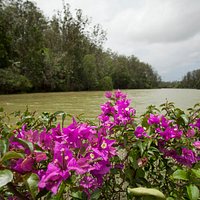 Parque Botânico Vale