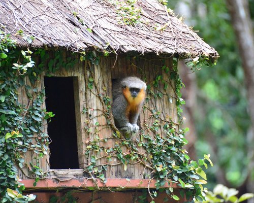 parauapebas #pará #brasil #paisagens #lugaresparavisitar #naturezaper