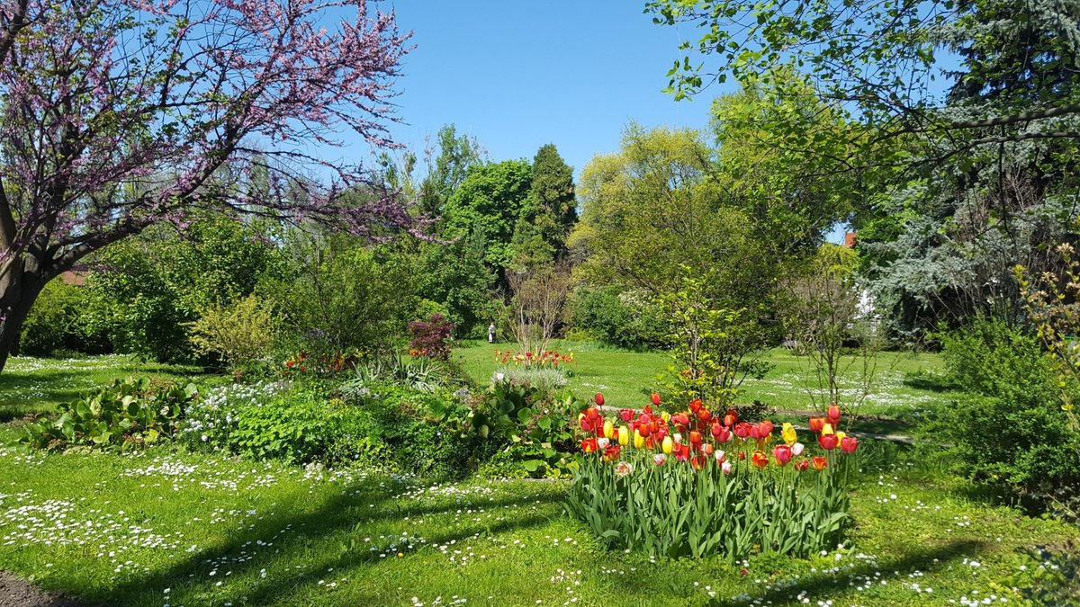 Grădina Botanică Dimitrie Brândza, Бухарест: лучшие советы перед посещением  - Tripadvisor