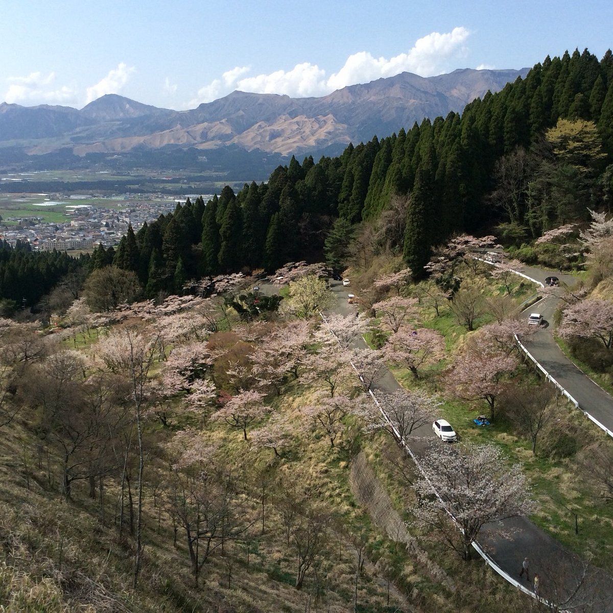 22年 高森峠の千本桜 行く前に 見どころをチェック トリップアドバイザー