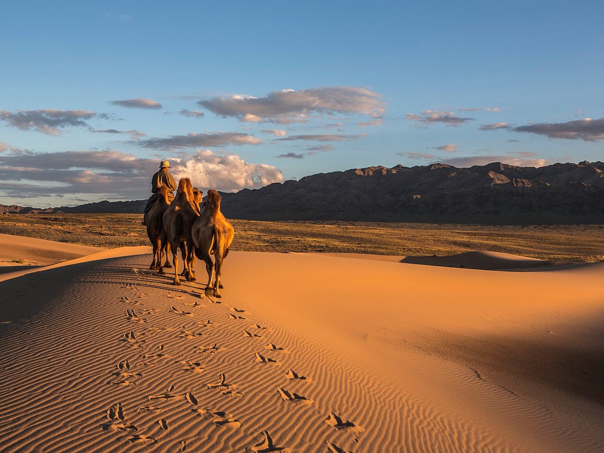 ayan travel mongolia