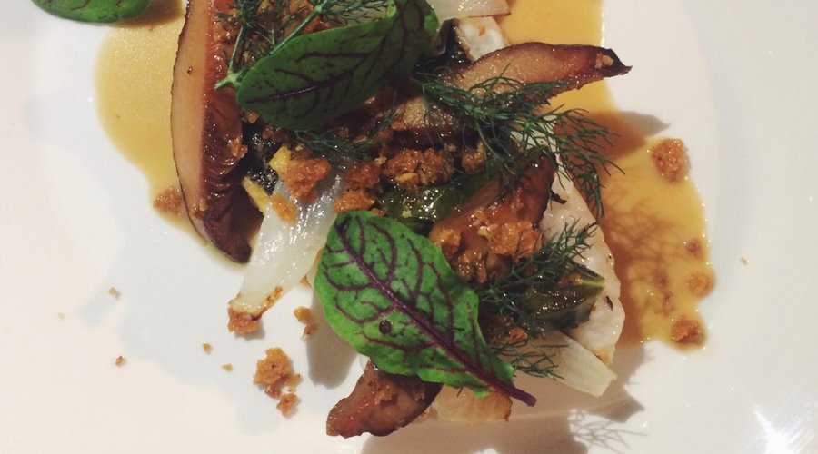 Roasted Flathead, pine mushrooms, champagne sauce
