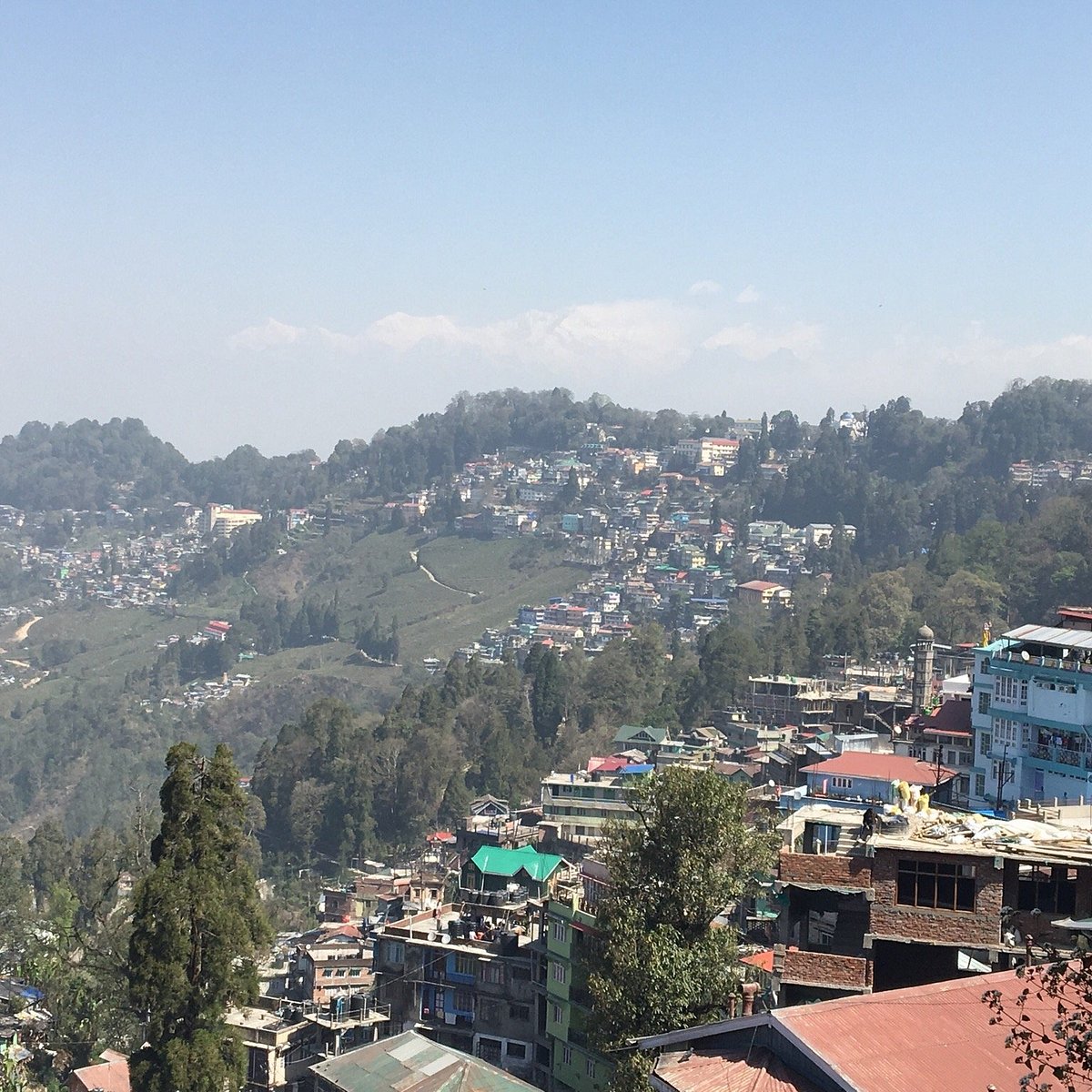 Darjeeling Himalayan Railway, Дарджилинг: лучшие советы перед посещением -  Tripadvisor