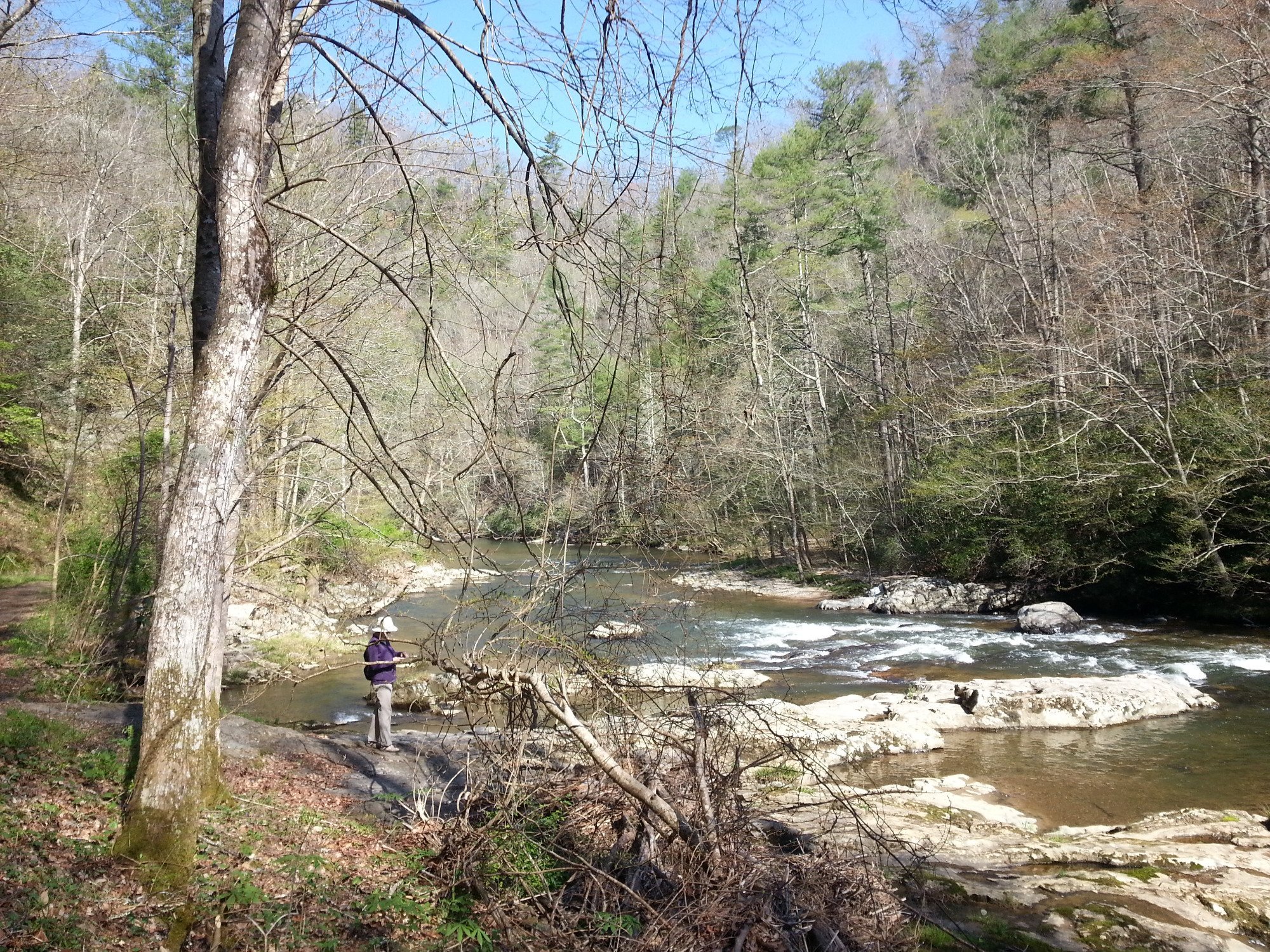 THE 10 BEST Things To Do In Hot Springs 2024 With Photos Tripadvisor   Laurel Creek In April 