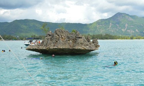 Fantastic Mauritius