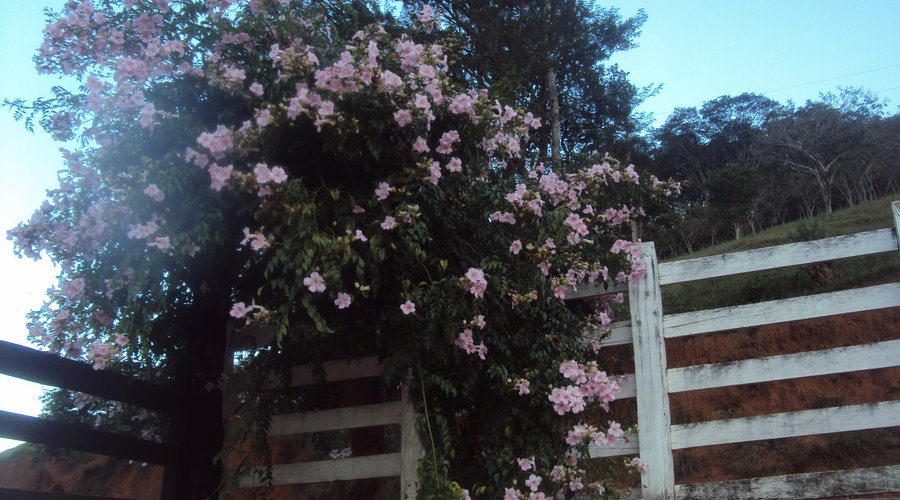 Fazenda Laranjeiras