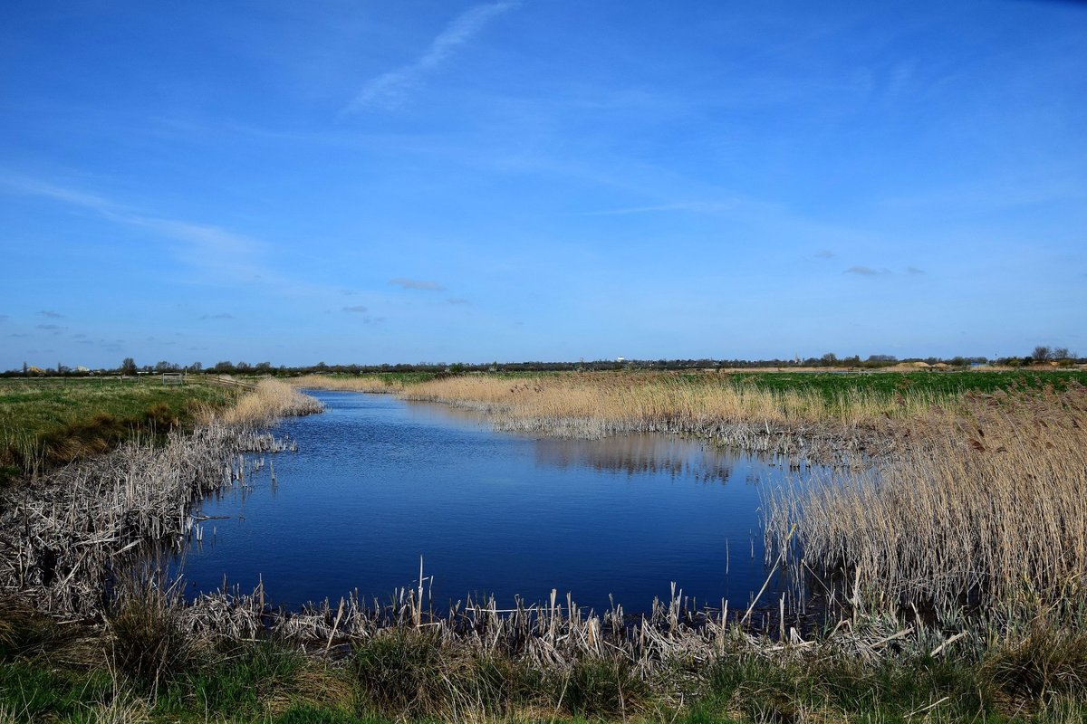 Ouse Fen