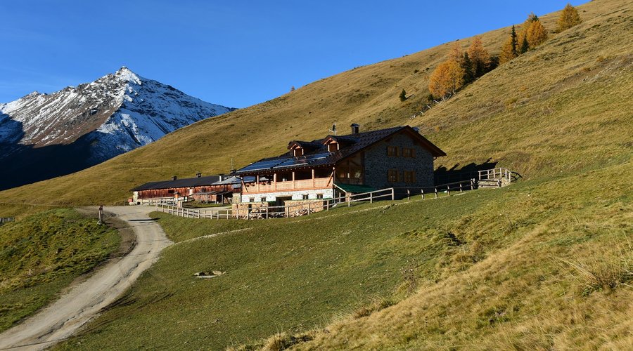 la malga