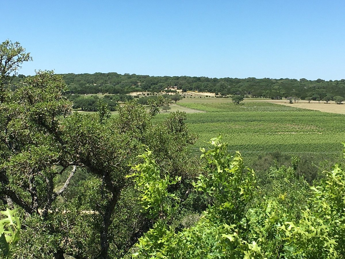 Weekend in Wimberley, Texas - Making Thyme for Health