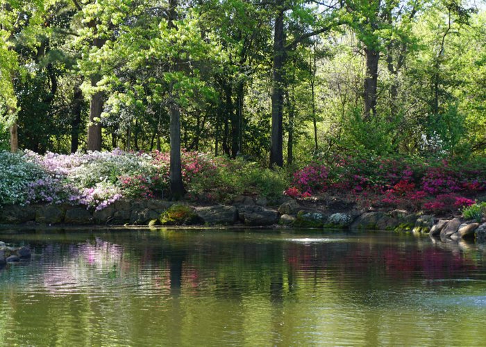 Springtime in Honor Heights Park
