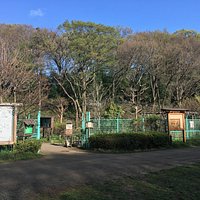 野草園