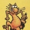 FatFreddiesCat