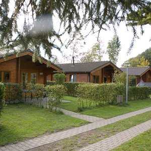 4 persoons finse bungalows