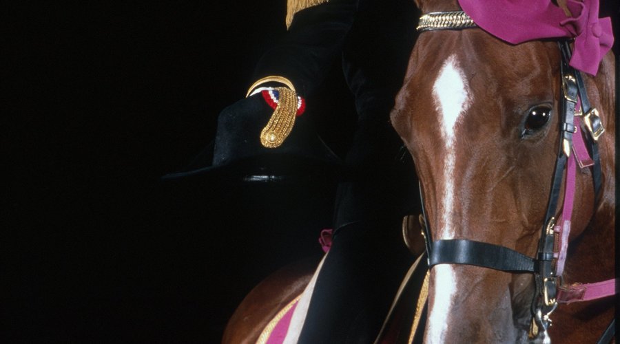 Tête cheval natté amarante