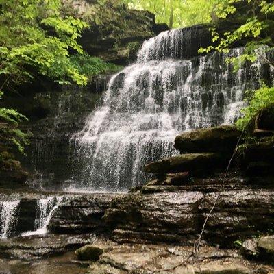 THE 15 BEST Things to Do in Tullahoma - 2021 (with Photos) - Tripadvisor