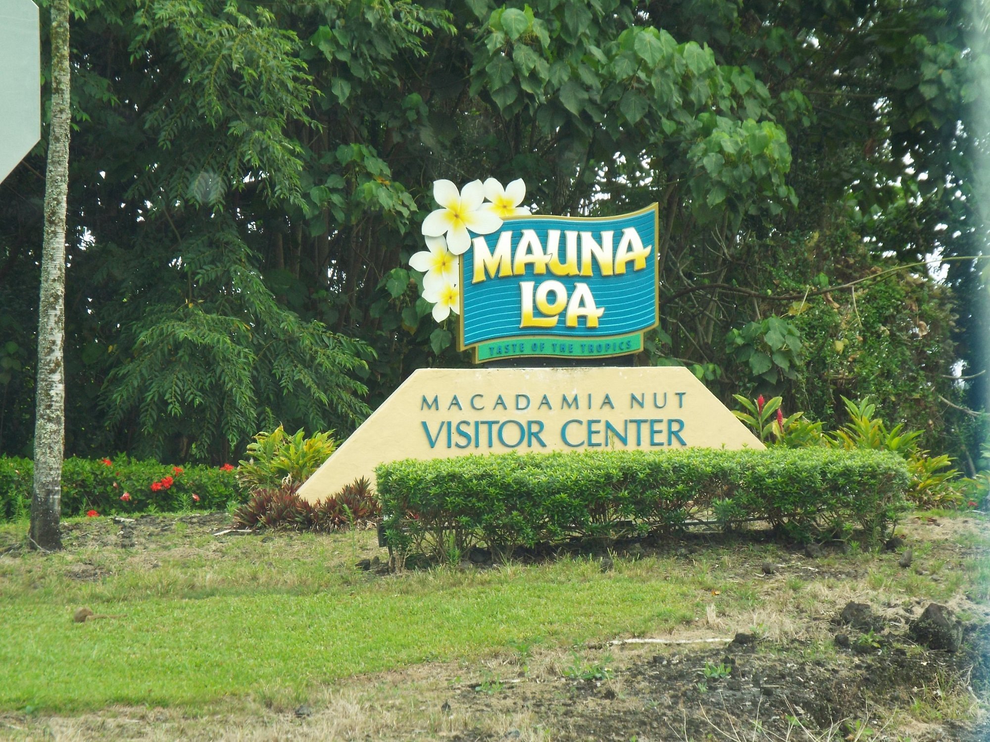 Mauna Loa Macadamia Nut Farm and Factory (Hilo) All You Need to Know