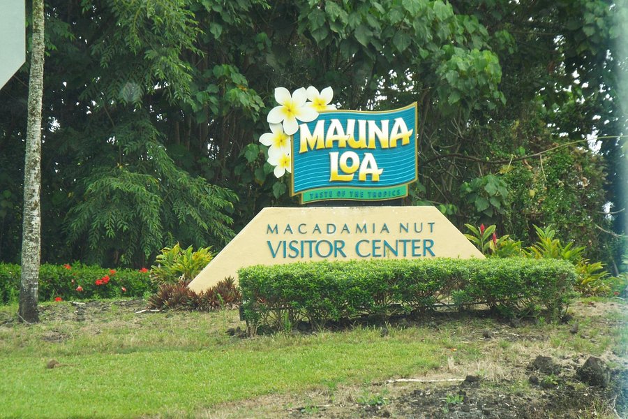 macadamia nut hawaii tour