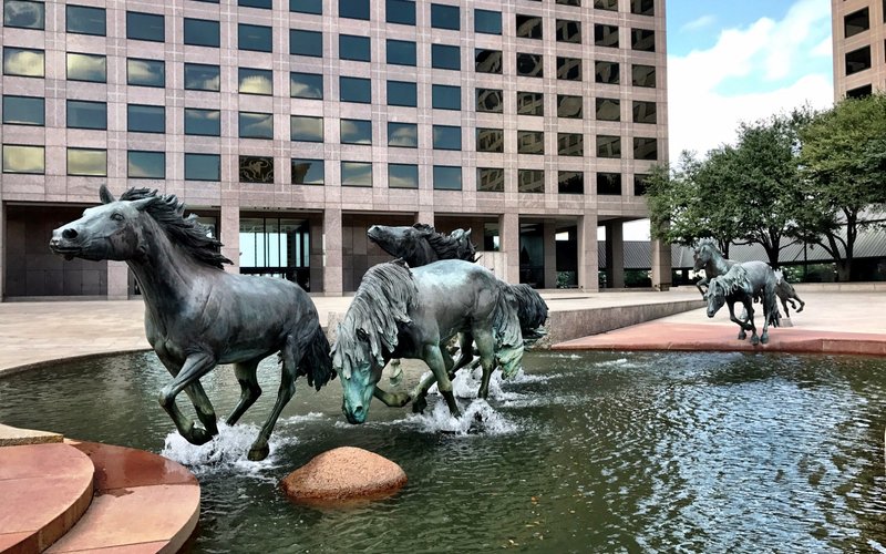 THE 15 BEST Things to Do in Irving - 2021 (with Photos) - Tripadvisor