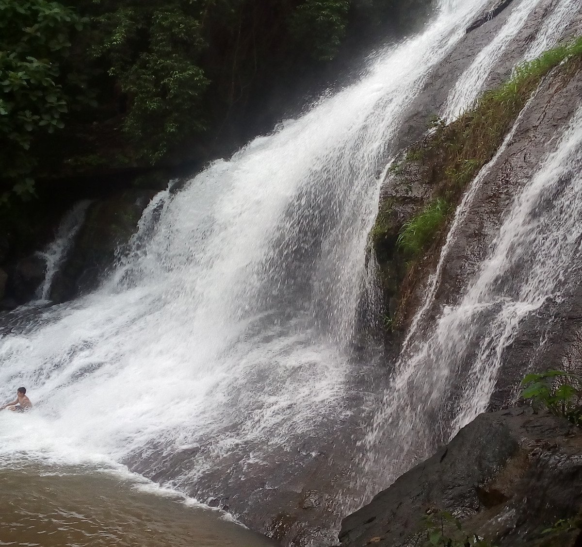 Areekkal Water Falls (Kochi (Cochin)) - All You Need to Know ...