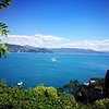 Things To Do in 7-Days Italian Lakes and Riviera Tour from Milan, Restaurants in 7-Days Italian Lakes and Riviera Tour from Milan