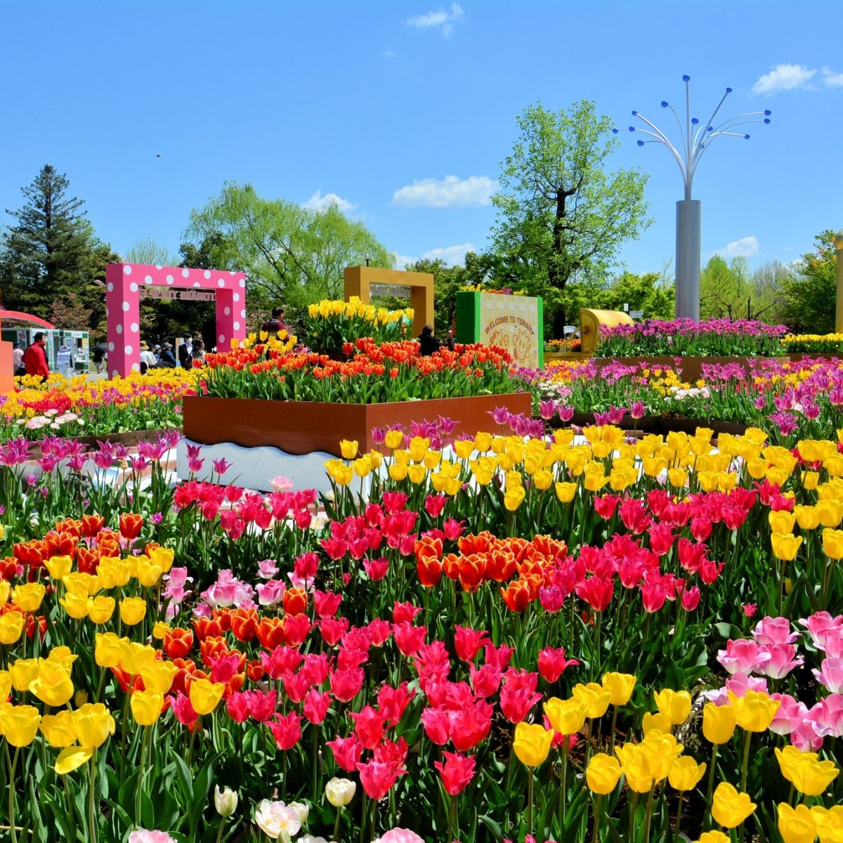 Tonami Tulip Park 砺波市 旅游景点点评 Tripadvisor