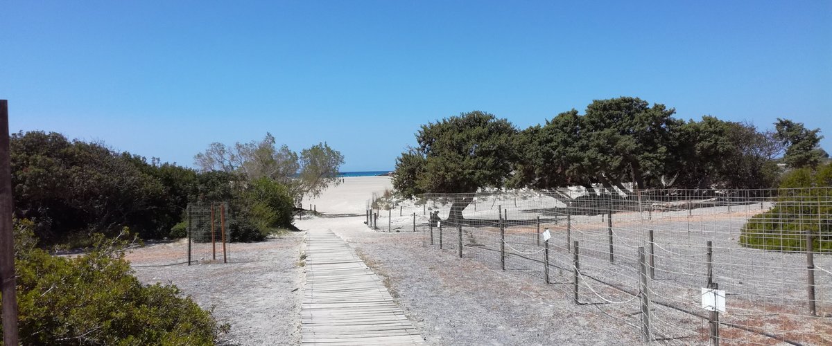 Playa de Elafonisi