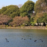 善福寺公園