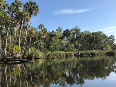 Crystal River 2021: Best of Crystal River, FL Tourism - Tripadvisor