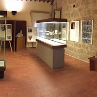Reperti etruschi - prima sala