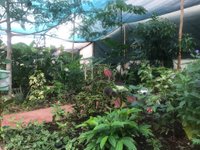 Cozumel Butterfly & Botanical Gardens - All You Need to Know BEFORE You Go