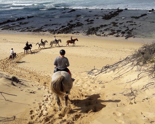 the-10-best-things-to-do-in-port-alfred-2021-with-photos-tripadvisor