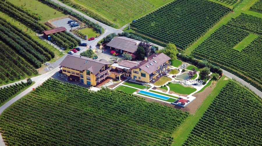 Lage mitten in den Weinreben