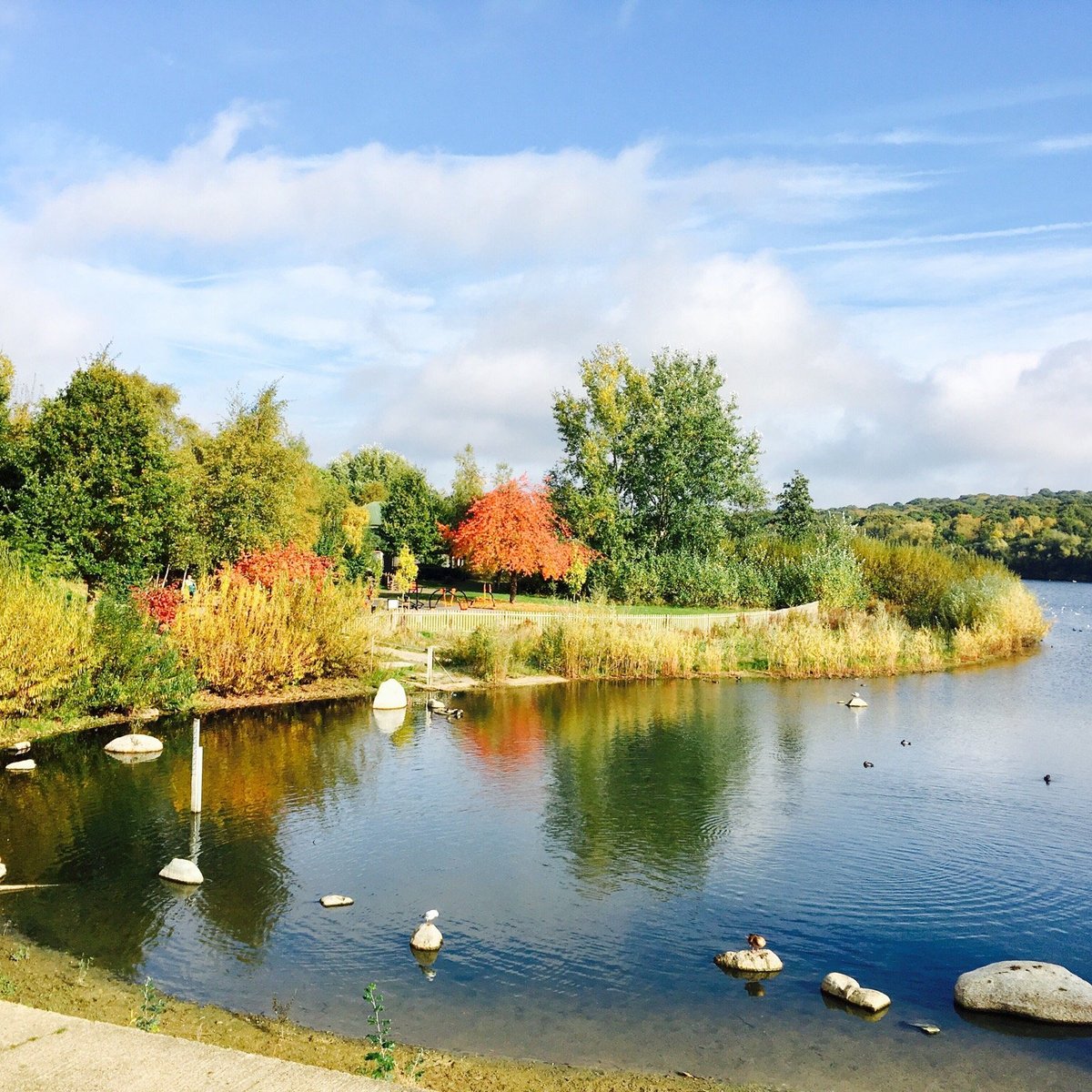 RUISLIP LIDO All You Need to Know BEFORE You Go (with Photos)