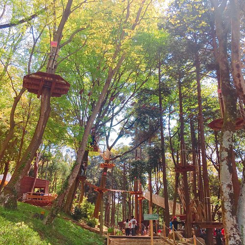 The 10 Best Other Outdoor Activities In Kanagawa Prefecture Kanto The 10 Best Other Outdoor Activities In Kanagawa Prefecture Kanto