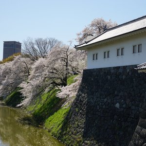 山形市の公園 自然 ベスト10 トリップアドバイザー