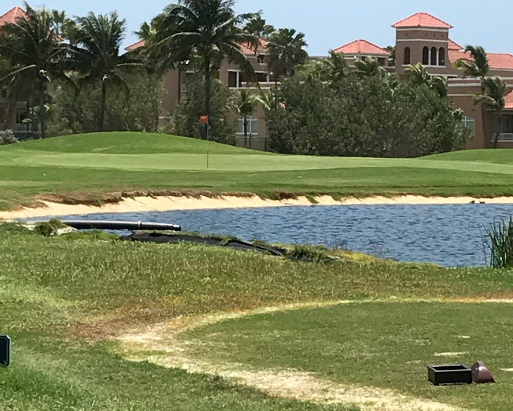 THE BEST Aruba Golf Courses (Updated 2023) Tripadvisor