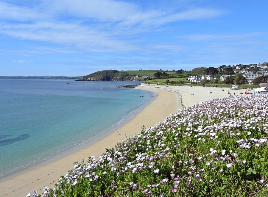 GYLLYNGVASE BEACH (Falmouth) - 2023 What To Know BEFORE You Go