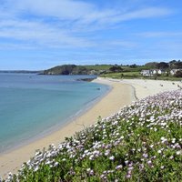 Maenporth To Swanpool Path Walk - All You Need To Know Before You Go