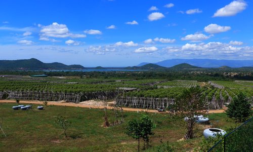 Overview of La Planttation - Kampot Pepper farm