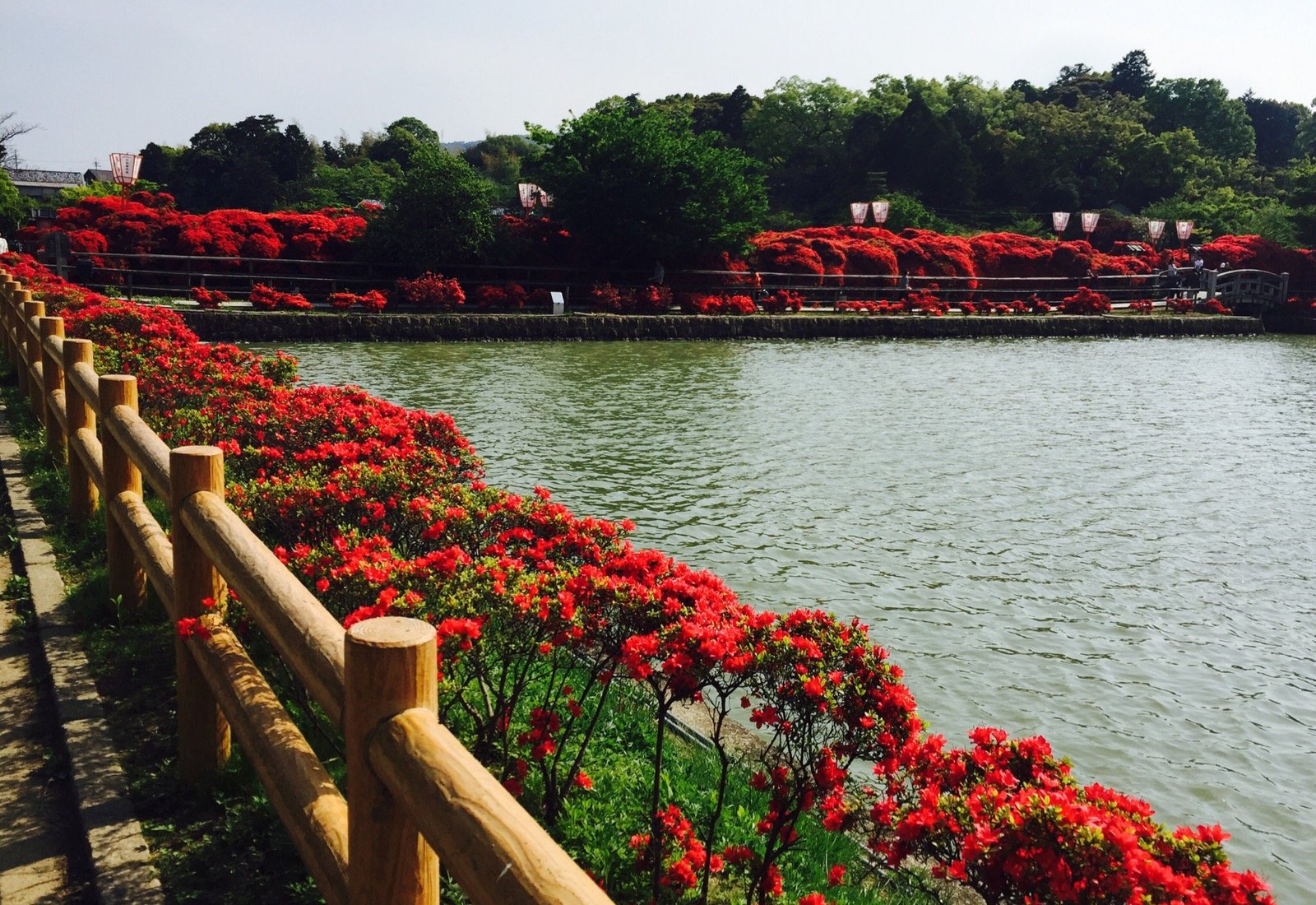 長岡京 旅行 観光ガイド 21年 トリップアドバイザー